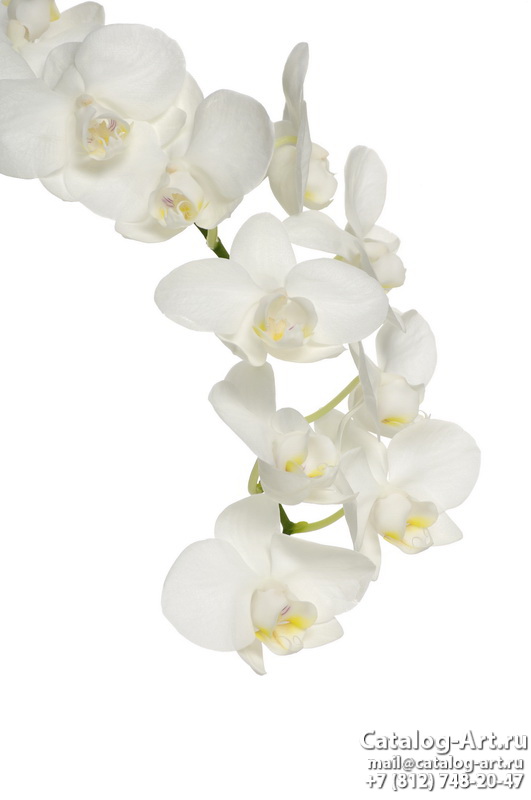 картинки для фотопечати на потолках, идеи, фото, образцы - Потолки с фотопечатью - Белые орхидеи 40